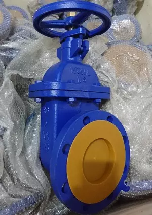 Hình ảnh van cổng Wonil Hàn Quốc