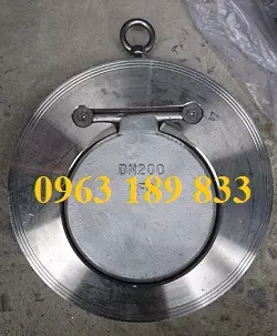 Van một chiều đĩa Van một chiều đĩa