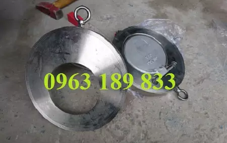 Van một chiều đĩa Van một chiều đĩa