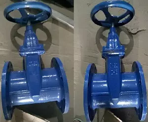 Van cổng ty chìm cánh cao su Van cổng ty chìm cánh cao su