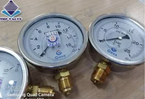 Đồng hồ đo áp suất Gesa M0101