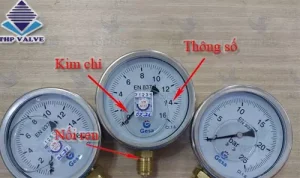 Đồng hồ đo áp suất Gesa M0101