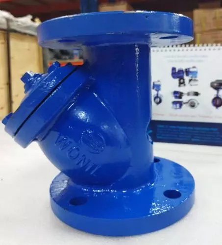 Lọc Y Wonil Hàn Quốc