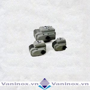 Động cơ điện haitima