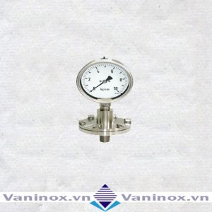 Đồng hồ đo áp dạng màng